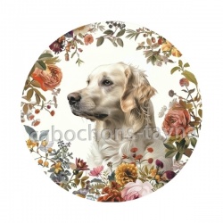 chien