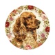chien