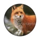 renard