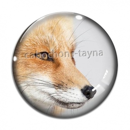 Cabochon Verre - renard