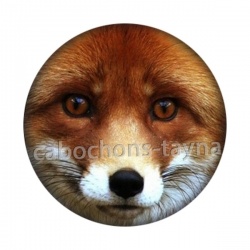 renard