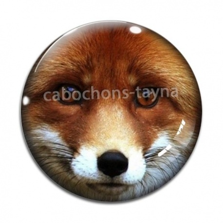 Cabochon Verre - renard