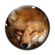 Cabochon Verre - renard