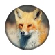 renard