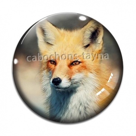 Cabochon Verre - renard