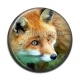 Cabochon Résine - renard