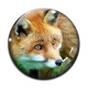 Cabochon Verre - renard