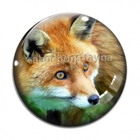 Cabochon Verre - renard