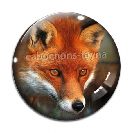 Cabochon Verre - renard