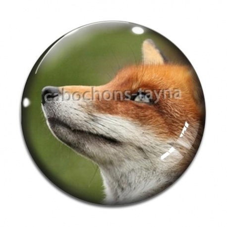 Cabochon Verre - renard