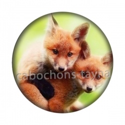 renard