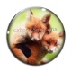 Cabochon Verre - renard