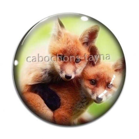 Cabochon Verre - renard