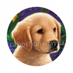 chien