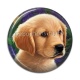 Cabochon Résine - chien