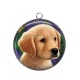 Pendentif Cabochon Argent - chien