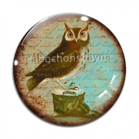 Cabochon Verre - hibou