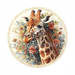 girafe