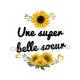 une super belle soeur