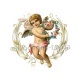 ange
