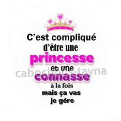 compliqué d'être une princesse