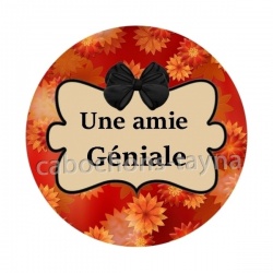 une amie géniale