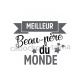 meilleur beau père