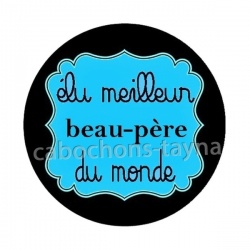 meilleur beau père