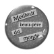 Cabochon Verre - meilleur beau père