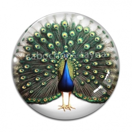 Cabochon Verre - paon