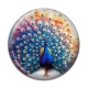 Cabochon Résine - paon
