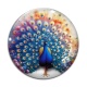 Cabochon Verre - paon