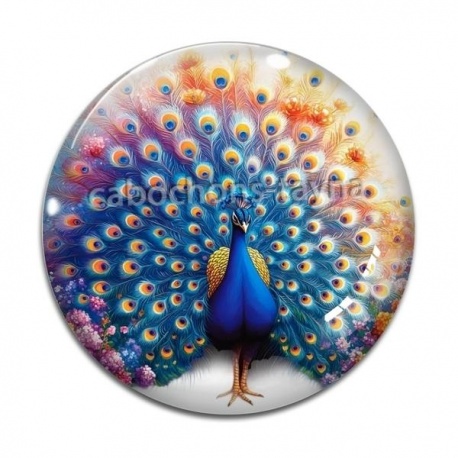 Cabochon Verre - paon