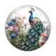 Cabochon Verre - paon