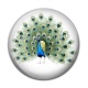Cabochon Résine - paon