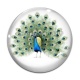 Cabochon Verre - paon