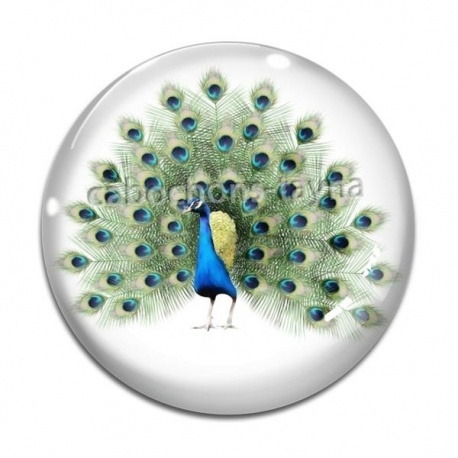 Cabochon Verre - paon