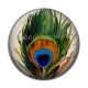 Cabochon Résine - plume de paon