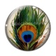 Cabochon Verre - plume de paon