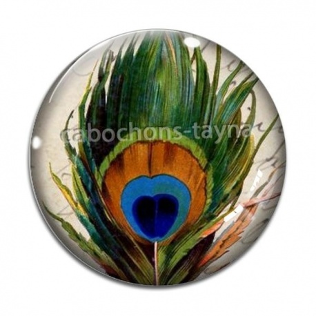 Cabochon Verre - plume de paon
