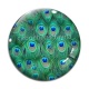 Cabochon Verre - paon plume