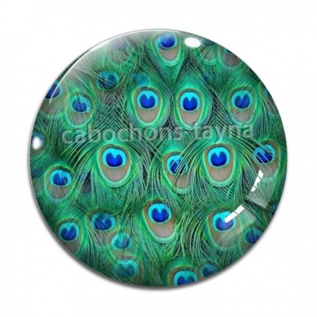 Cabochon Verre - paon plume