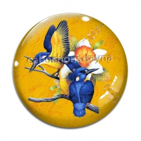 Cabochon Verre - oiseau