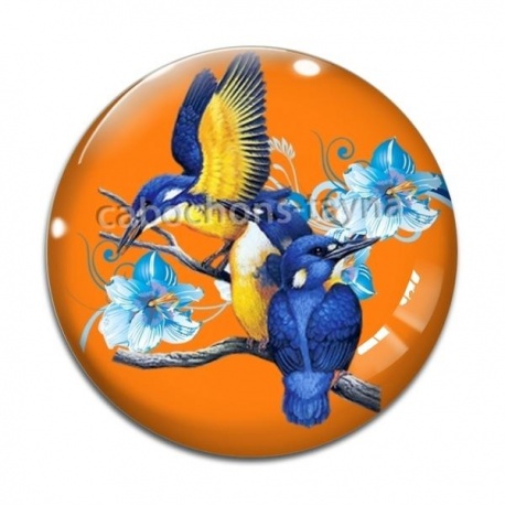 Cabochon Verre - oiseau