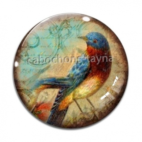 Cabochon Verre - oiseau