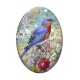 Cabochon Verre Ovale - oiseau