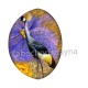 oiseau