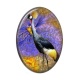 Cabochon Résine Ovale - oiseau