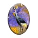 Cabochon Verre Ovale - oiseau