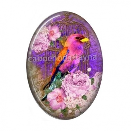Cabochon Résine Ovale - oiseau